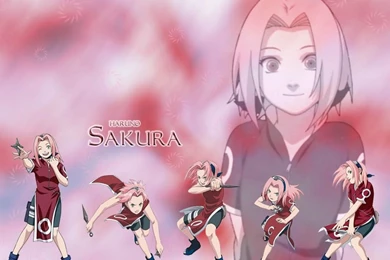 Sterces Ytrid: Sakura Haruno Wallpapers