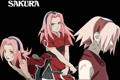 Sakura Shippuden Wallpapers   Wallpapers Cave