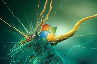 762757871 Windows8 wallpaper.jpg