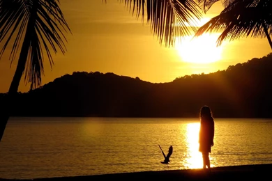 Wallpaper, Change, Sunrise (