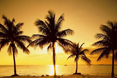 Sunrise Beach Wallpaper 2.jpg