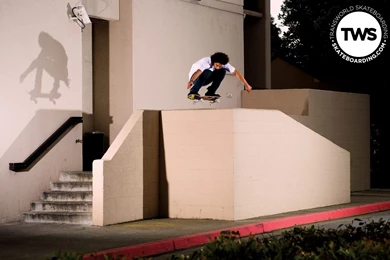 INTERSTATE BOARDSHOP: INTERNATIONAL SK8 NEWS