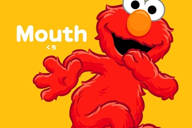 Sesame Street Learn Japanese   Sesame Street Wallpapers (17902570 ...