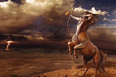 Horse Cool Free Wallpapers Amazing Free Picture / Wallpapers Horse ...