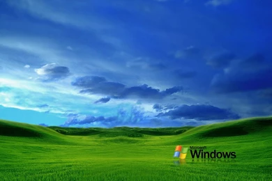 Grass Windows XP Wallpapers   Totalinfo90