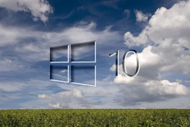 Windows 10 Grass Field 1920x1200.jpg