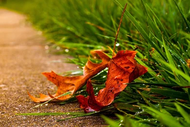 Nature Wallpapers, Natural, Sky, Amazing Views, Cool Backgrounds ...