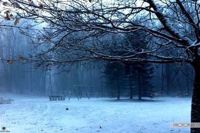 A Beautiful Feeling Of Nature HD Wallpapers 2013