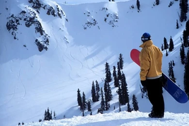 Snowboard Community Forums   Snowboard / PC /Wallpapers