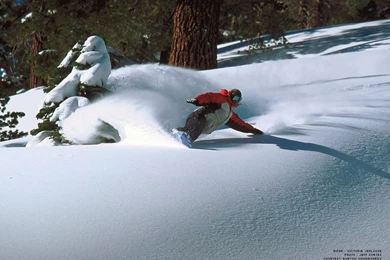 Board Terminology: A Guide For The Beginner Or The Returning ...