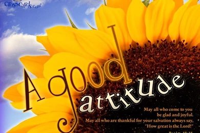 Cool Attitude Wallpapers HD Wallpapers Lovely