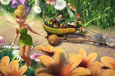 Tinkerbell Wallpapers For Desktop 15613 Wallpapers Wallpapers Hd
