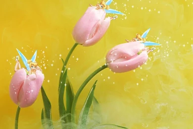 Tinkerbell Wallpapers   76414