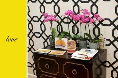 Stylish Temporary Wallpapers   Kelly Golightly