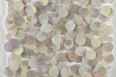 Tracy Kendall   Artist Talk — Calendar — Latest — Plymouth College ...