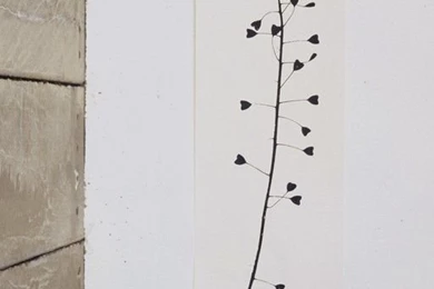 Heartweed Wallpapers Panel By Tracy Kendall