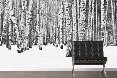 Popular Items For Forest Wallpapers On Etsy