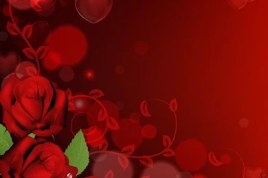 Pictures > Red Rose Heart Backgrounds