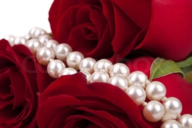 Red Rose And Pearls As Backgrounds