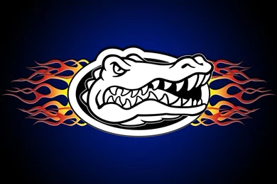 Florida Gators Wallpapers
