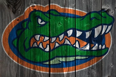 Florida Gators Wood iPhone 4 Backgrounds