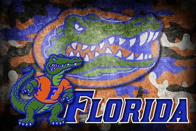 Browsing Wallpapers On DeviantArt