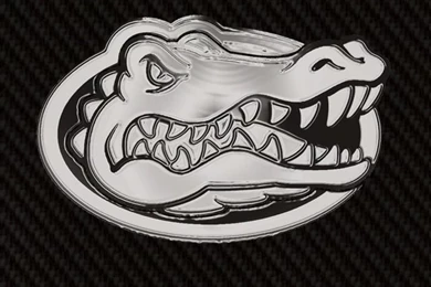 iPhone 4 640 X 960 Gator Wallpapers And Backgrounds