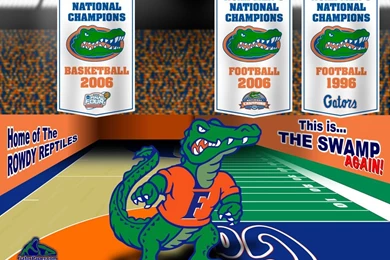 FREE GATOR WALLPAPER
