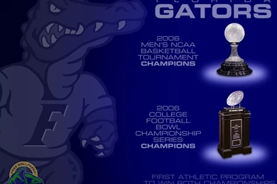 FREE GATOR WALLPAPER