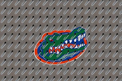 Photo "Gators Mesh Droideye Paint" In The Album "Sports Wallpapers ...