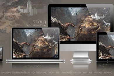 Smaug Wallpapers By HughEbdy On DeviantArt