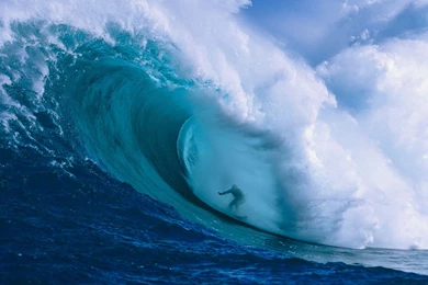 15942) National Geographic High Quality Wallpapers Attachment ...