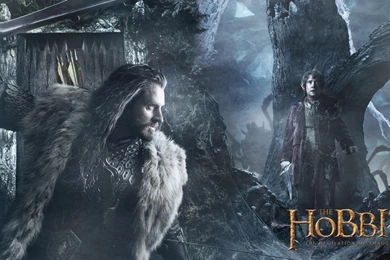 The Hobbit: The Desolation Of Smaug Wallpapers   The Hobbit ...