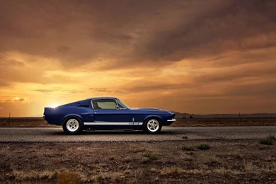 Ford Mustang Shelby GT500   Wallpapers Bros.