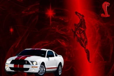 Ford Mustang Saleen Wallpapers By SlaveWolfy On DeviantArt