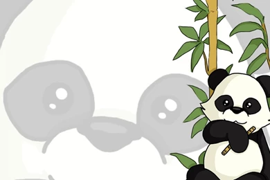 Animals Bamboo Panda Bears Wallpapers   (