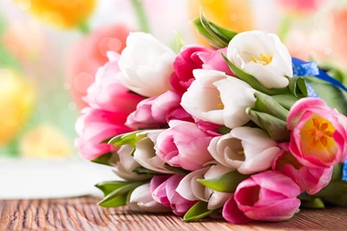 BUNCH OF TULIPS WALLPAPER   (