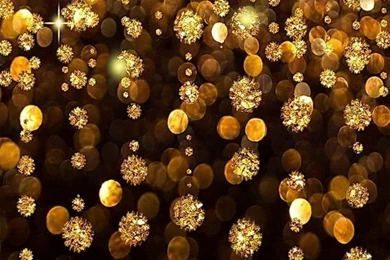 640x1136 Hot Wallpapers For Phone Download   15   640x1136   Hot ...