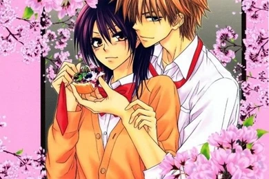 Free Kaichou wa Maid sama Phone Wallpapers By Squeaker