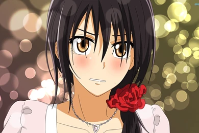 Misaki Ayuzawa   Maid Sama! Wallpapers   Anime Wallpapers