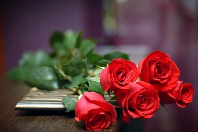 1600x480 Wallpapers: Footprints Sand Ocean Peaceful Stormy Waves ...