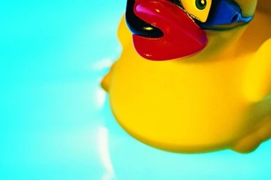 640x960 Little Rubber Duck Iphone 4 Wallpapers