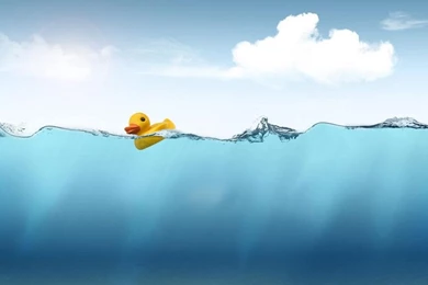 Duckwallpapers   DeviantArt