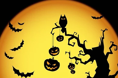 Angry Birds Halloween Wallpapers   HD Images New