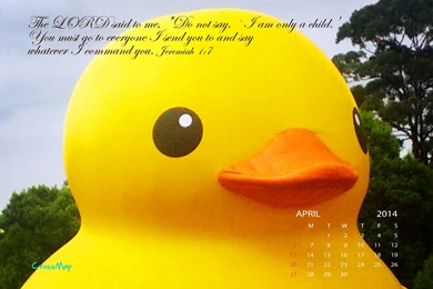 Yellow Rubber Duck 2014 Calendar Wallpapers   April
