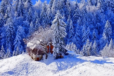 HD Backgrounds Winter Snow House Ice Trees Hill Wallpapers ...