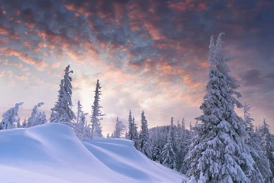 Winter Scenes Desktop Wallpapers
