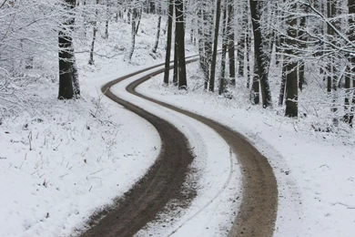 Full Hd Wallpapers Winter   1583028