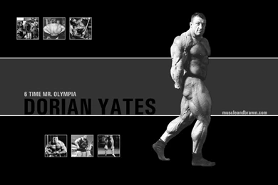 Muscle And Brawn Wallpapers   Muscle And Brawn