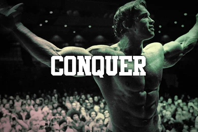Pictures > Arnold Bodybuilding Wallpapers Conquer